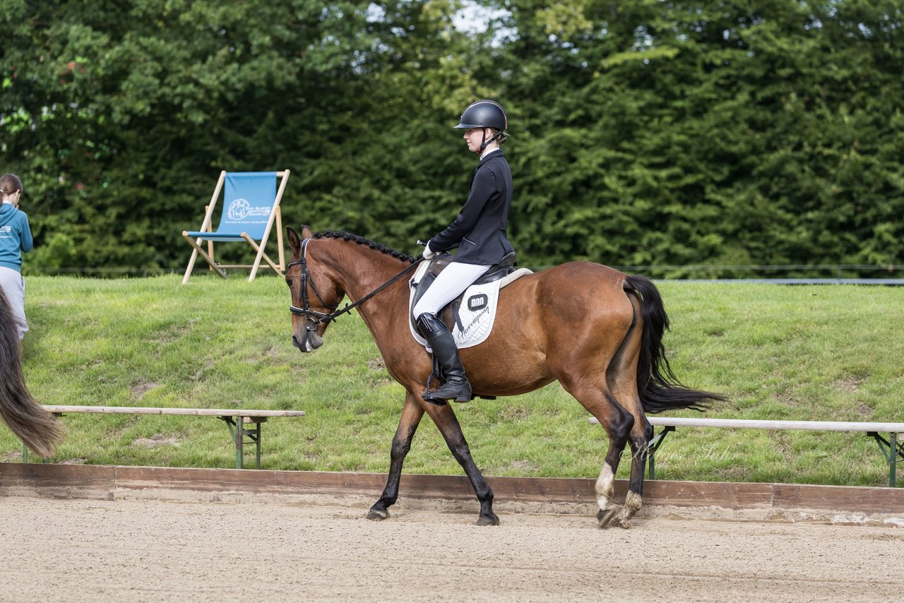 Bild 5 - Pony Akademie Turnier